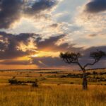 Serengeti Plains